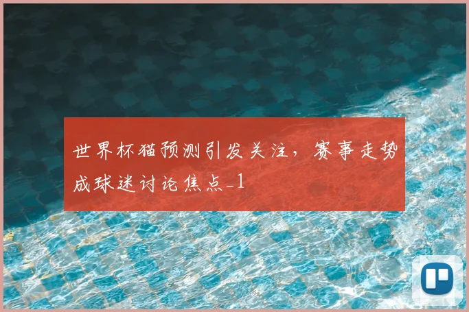 世界杯猫预测引发关注，赛事走势成球迷讨论焦点_1