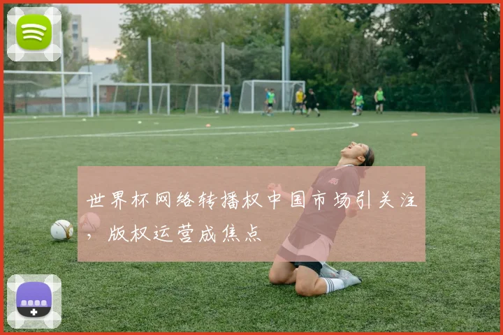 世界杯网络转播权中国市场引关注，版权运营成焦点