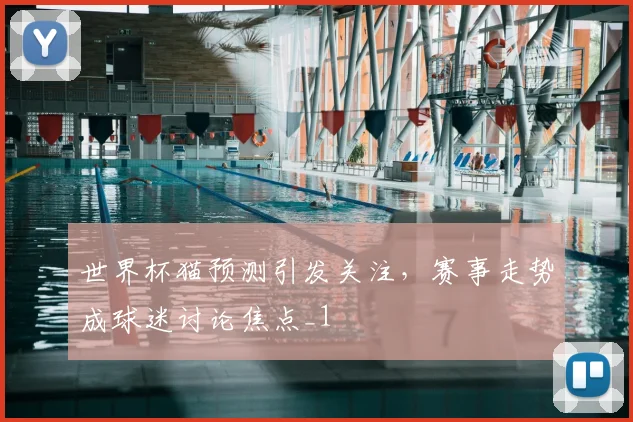 世界杯猫预测引发关注，赛事走势成球迷讨论焦点_1