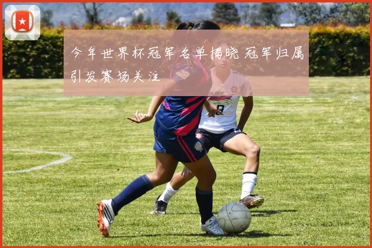 今年世界杯冠军名单揭晓 冠军归属引发赛场关注