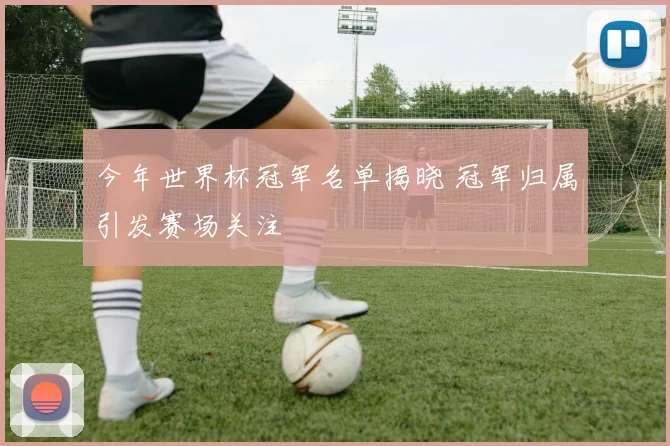今年世界杯冠军名单揭晓 冠军归属引发赛场关注
