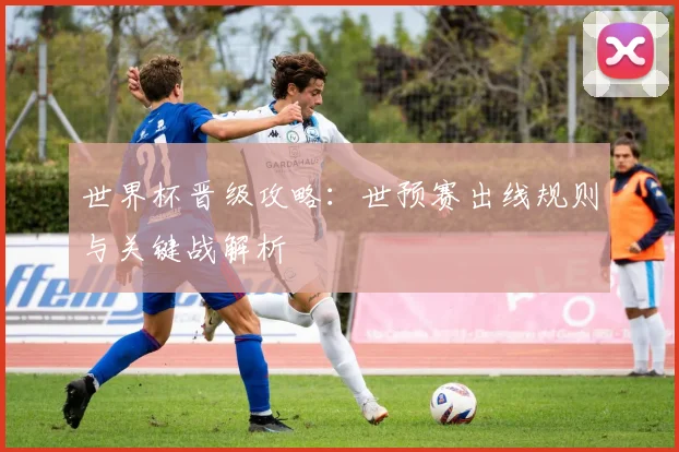 世界杯晋级攻略：世预赛出线规则与关键战解析