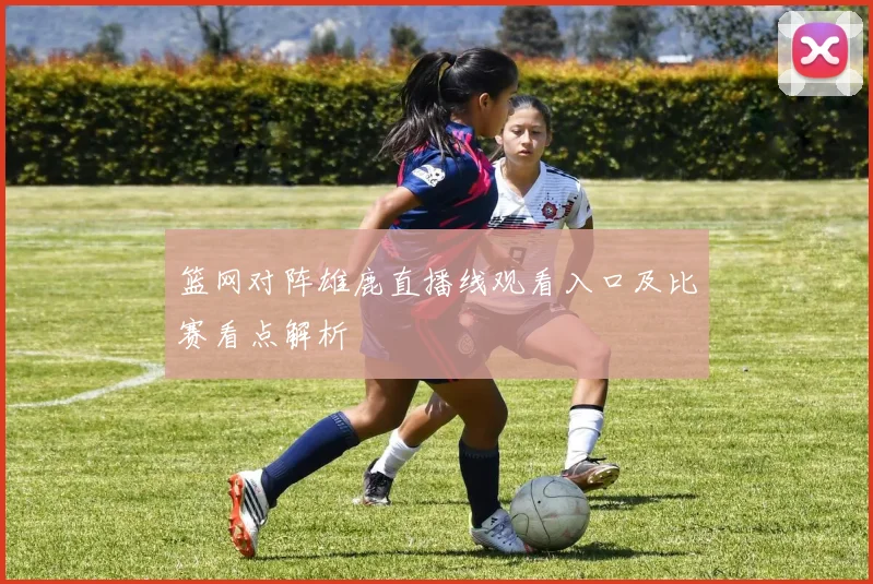 篮网对阵雄鹿直播线观看入口及比赛看点解析