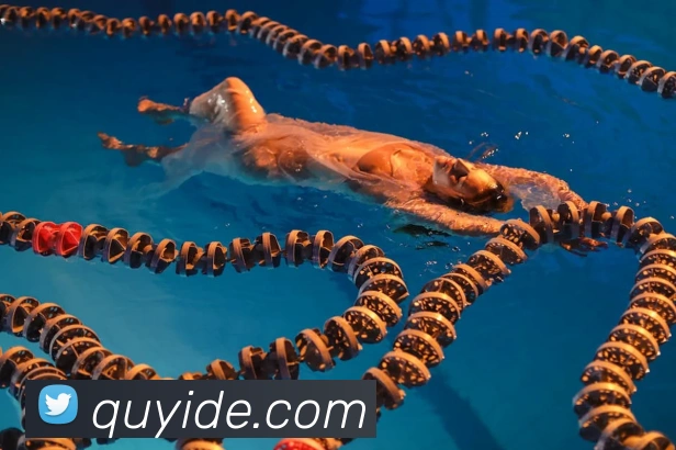 数据防护可视化